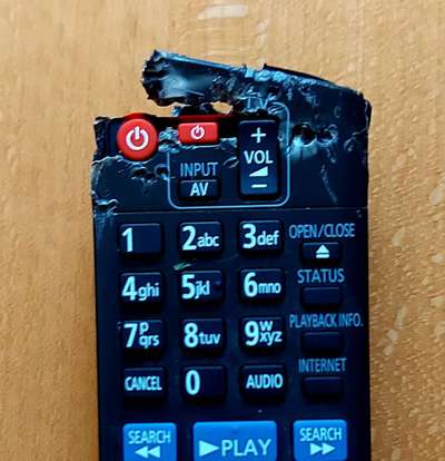 Zeig mir, dass du mit einem hund zusammenlebst....-Beitrag-Bild