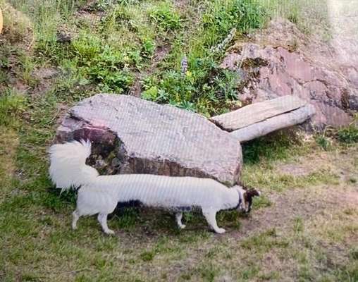 Fotochallange 84-Beitrag-Bild