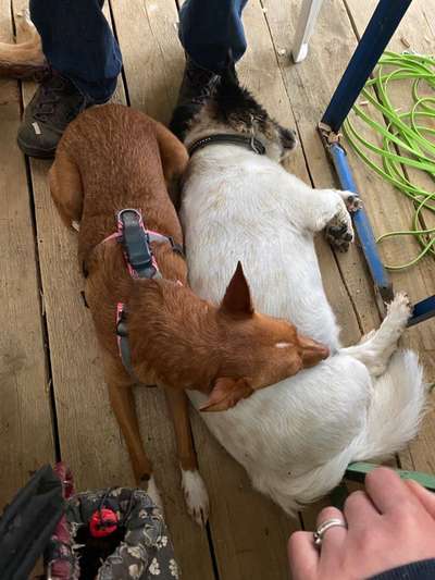 Fotochallenge Nr. 62 Romantische Momente-Beitrag-Bild