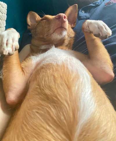 Fotochallange 84-Beitrag-Bild