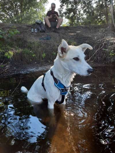 FOTOCHALLANGE NR.71 BADEFREUDE-Beitrag-Bild