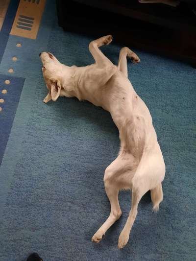 Fotochallenge Nr.65-Beitrag-Bild