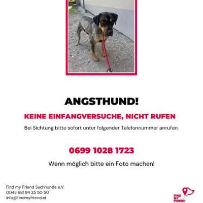 Suchmeldung-Tobi-Bild