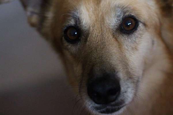 Fotowettbewerb Natur-Beitrag-Bild