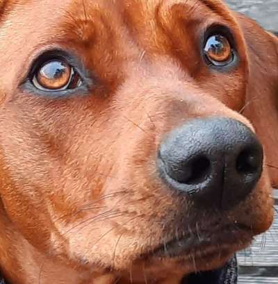 Fotochallange Nr. 57     PORTRÄT.   Beendet!!!!!!!!-Beitrag-Bild