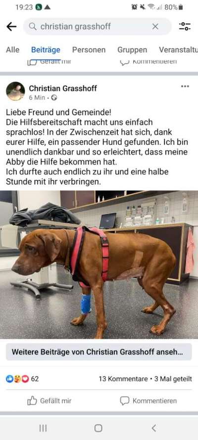 Rhodesian Ridgeback-Beitrag-Bild
