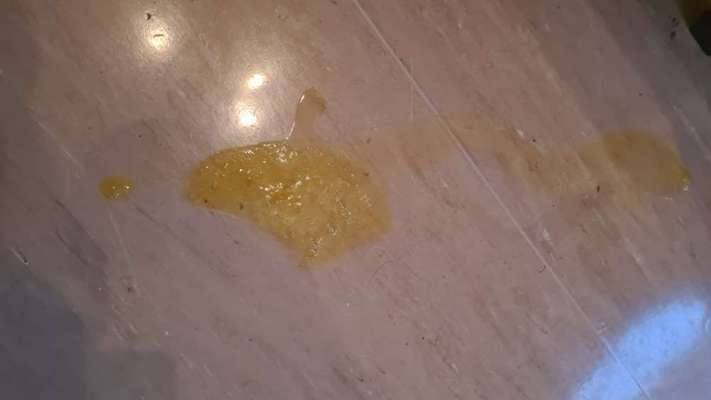 Erbrechen-Beitrag-Bild