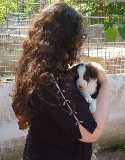 Lieblingsbild-Beitrag-Bild