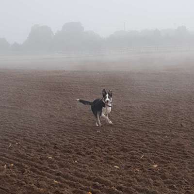 Lieblingsbild :D-Beitrag-Bild