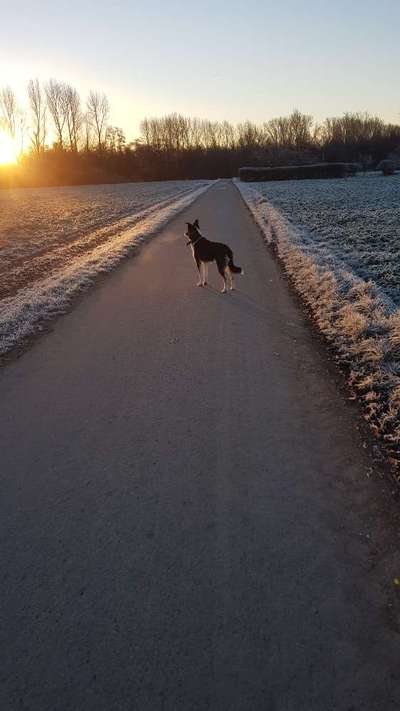 Lieblings Fotos-Beitrag-Bild