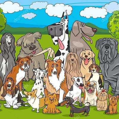 Titelbild Gruppe Wurfgeschwister finden