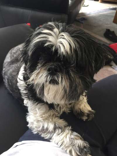 Fotochallenge Nr. 67: Euer Lieblingsbild-Beitrag-Bild