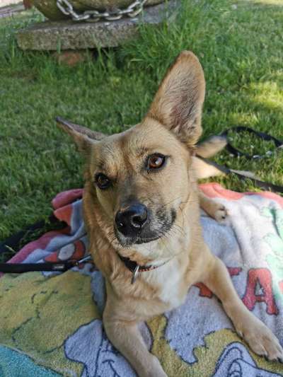 Doppelgänger gesucht !-Beitrag-Bild