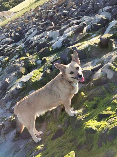 Doppelgänger gesucht !-Beitrag-Bild