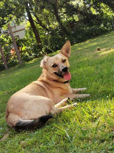 Handyfoto challenge Nr. 13: Waschlappen raus!-Beitrag-Bild