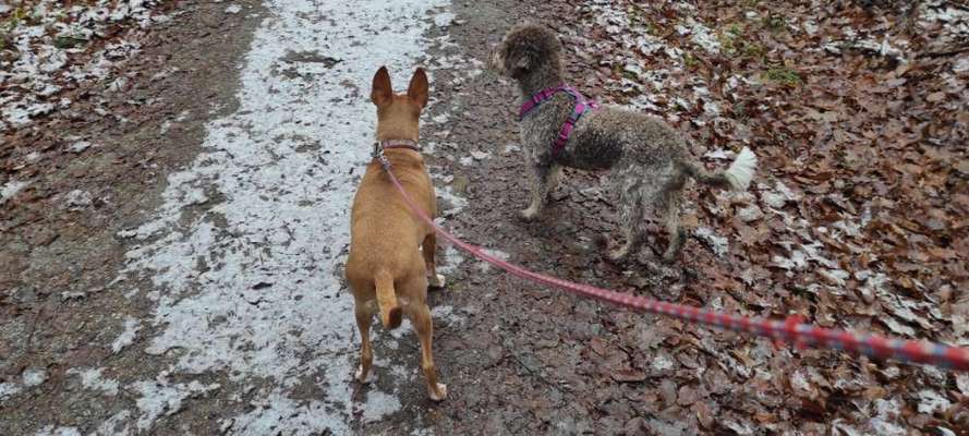 Zeigt mir eure Lieblingsfotos ♡♡-Beitrag-Bild