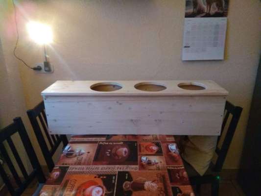 Hundebar - Futterbar-Beitrag-Bild