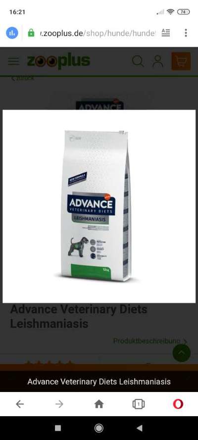 Leishaniose..Futter empfehlen..-Beitrag-Bild