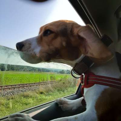 CHALLENGE NR. 18 - ON TOUR-Beitrag-Bild