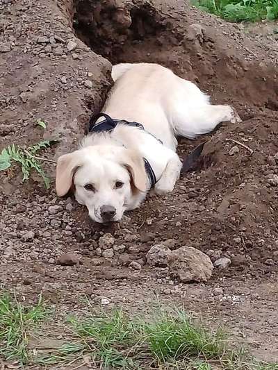 Lebensmittelunverträglichkeit-Beitrag-Bild