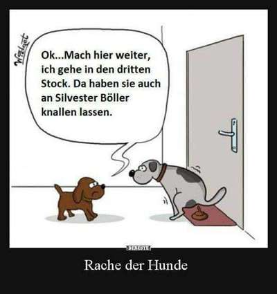 Hunde Memes-Beitrag-Bild