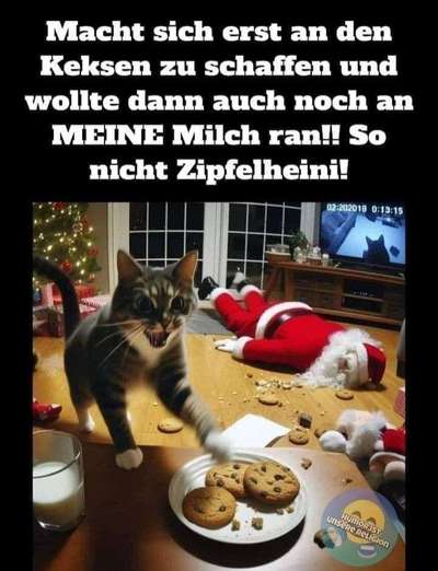 Hunde Memes-Beitrag-Bild