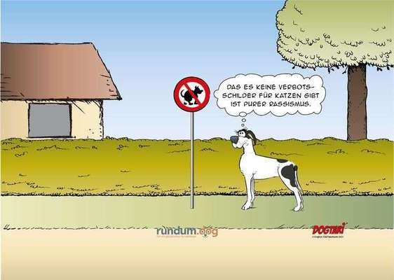 Hunde Memes-Beitrag-Bild