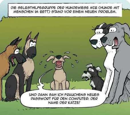 Hunde Memes-Beitrag-Bild