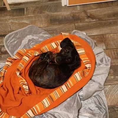 Freddys Kummerkasten-Beitrag-Bild