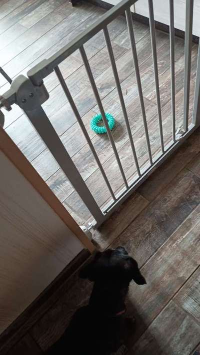 Freddys Kummerkasten-Beitrag-Bild