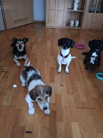 Freddys Kummerkasten-Beitrag-Bild