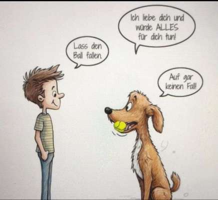 Hunde Memes-Beitrag-Bild