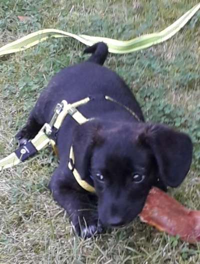 Foto Challenge 82-Beitrag-Bild