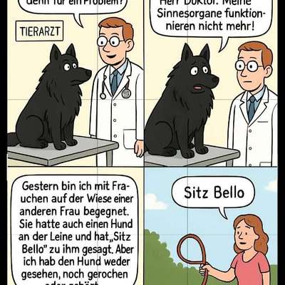 Hunde Memes-Beitrag-Bild