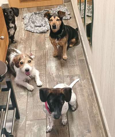 Freddys Kummerkasten-Beitrag-Bild