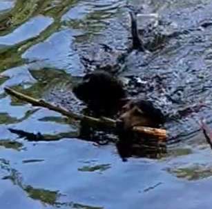 Bright side of life! Schönwetter-Thread-Beitrag-Bild