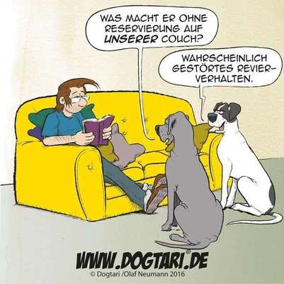 Hunde Memes-Beitrag-Bild