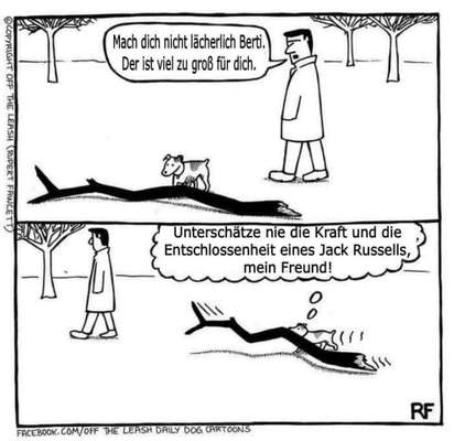 Hunde Memes-Beitrag-Bild