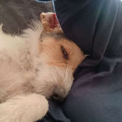 Was hat euch heute gefreut?-Beitrag-Bild