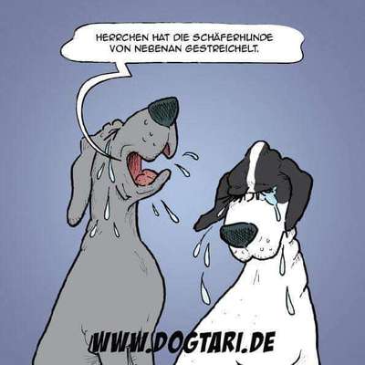 Hunde Memes-Beitrag-Bild