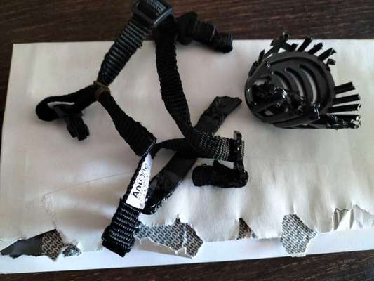 Was haben eure Hunde schon gefressen oder zerstört ?-Beitrag-Bild