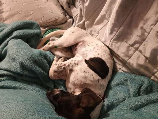 Freddys Kummerkasten-Beitrag-Bild