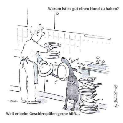 Hunde Memes-Beitrag-Bild