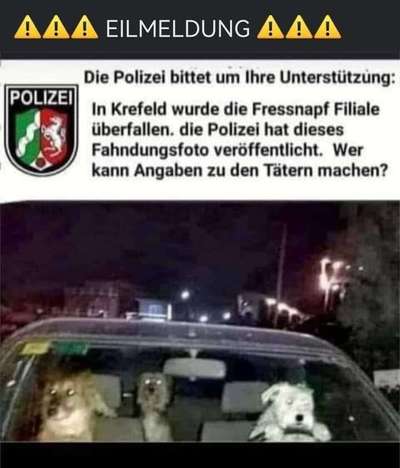 Hunde Memes-Beitrag-Bild