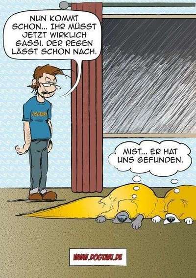 Hunde Memes-Beitrag-Bild