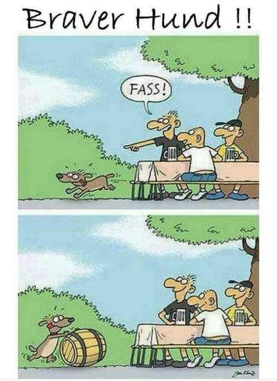 Hunde Memes-Beitrag-Bild