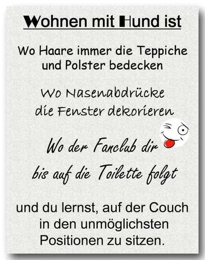 Hunde Memes-Beitrag-Bild