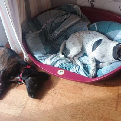 Was hat euch heute gefreut?-Beitrag-Bild