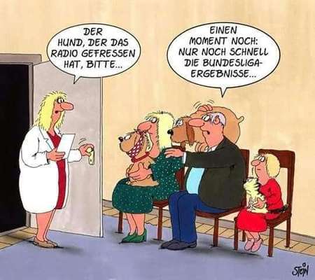 Hunde Memes-Beitrag-Bild