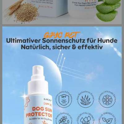 Sonnencreme für Hunde-Beitrag-Bild